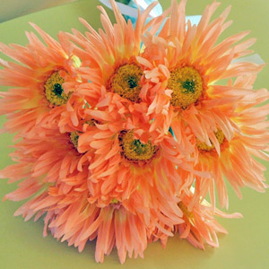 光触媒ピーチガーベラの花束10本