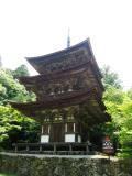 西明寺三重塔.JPG