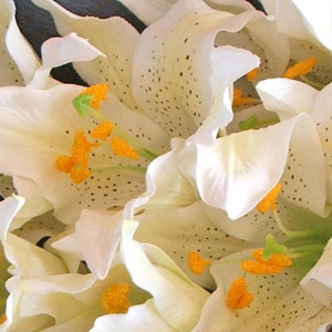 光触媒タイガーリリーの花束3本