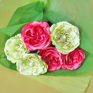 光触媒ブルボンローズの花束6本