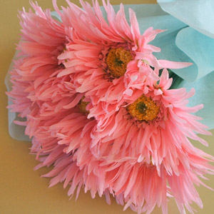 光触媒ピンクガーベラの花束10本