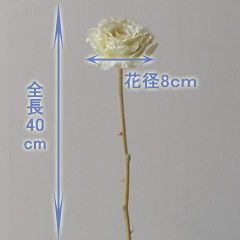 アレンジ用花材イングリッシュローズ（シャンパンゴールド）