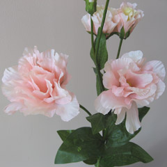アレンジ用花材トルコキキョウ（ピンク）