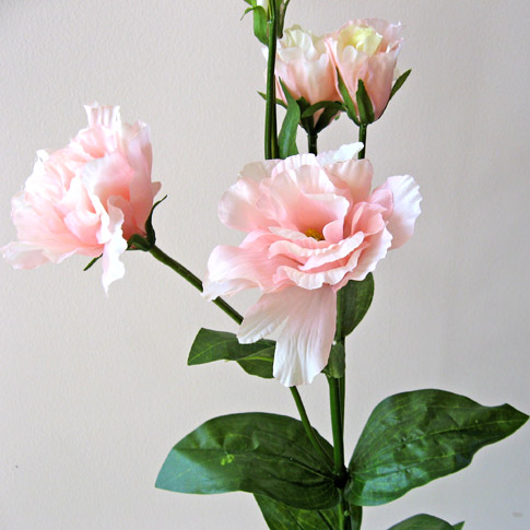 アレンジ用花材トルコキキョウ（ピンク）