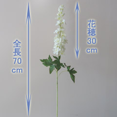 アレンジ用花材デルフィニウム（クリーム）