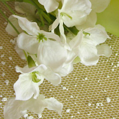 光触媒ミニ花束・ハニー