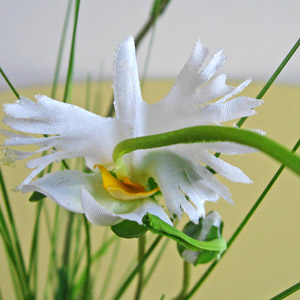 光触媒サギ草