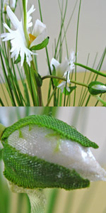 光触媒サギ草