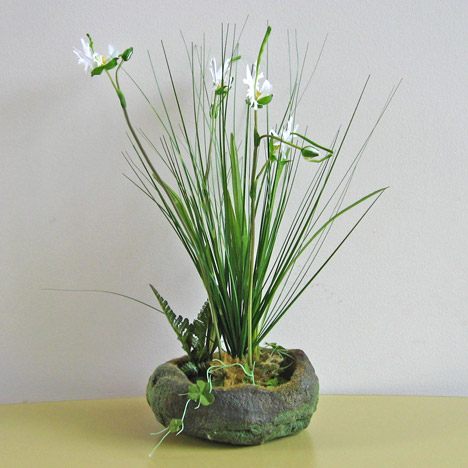 光触媒サギ草