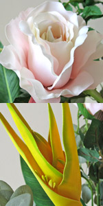 光触媒ギュゼル