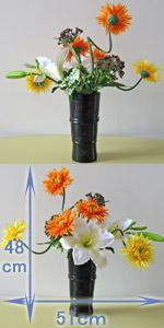 光触媒ノコミス