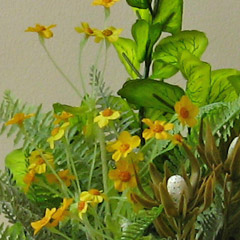 光触媒草原の光
