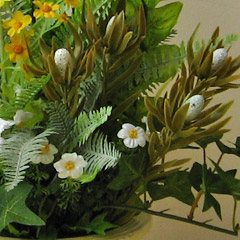光触媒草原の光