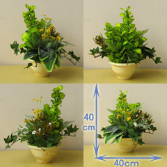 光触媒草原の光