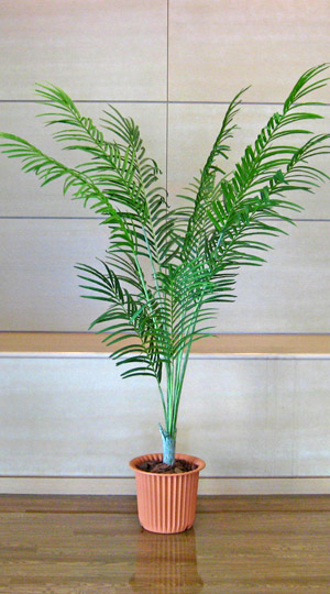 光触媒人工観葉植物アレカパーム
