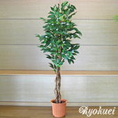 光触媒人工観葉植物コーヒーツリー