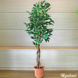光触媒人工観葉植物コーヒーツリー