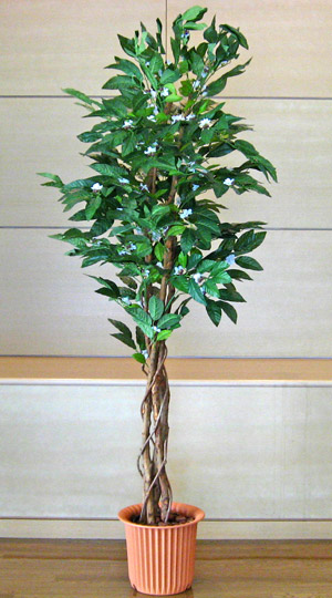 光触媒人工観葉植物コーヒーツリー