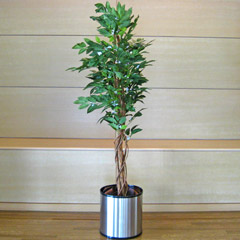 光触媒人工観葉植物コーヒーツリー