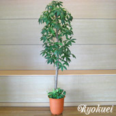 光触媒人工観葉植物パキラツリー