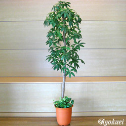 光触媒人工観葉植物パキラツリー
