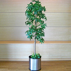 触媒人工観葉植物パキラツリー