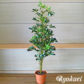 光触媒人工観葉植物カポック(グリーン/イエロー)