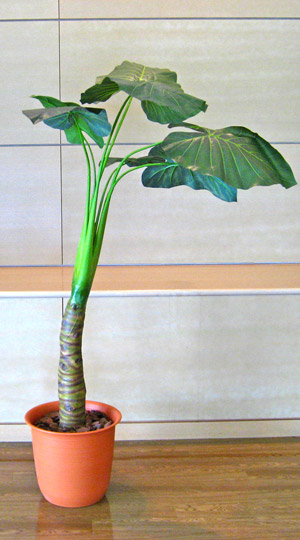 光触媒人工観葉植物カラジューム