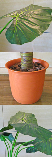光触媒人工観葉植物カラジューム