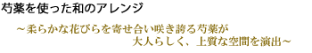 光触媒プリメラ
