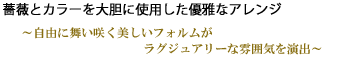 光触媒エルモソ