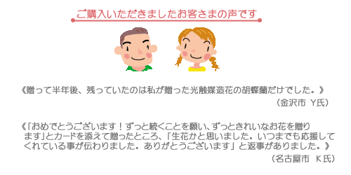 お客様の声