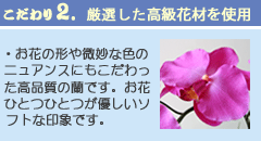 こだわり2