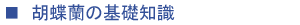 胡蝶蘭の基礎知識