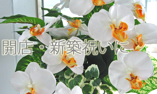 開店・開業・開院・新築祝いに