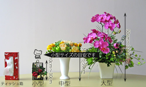 サイズ