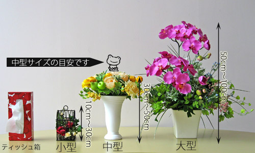 サイズ