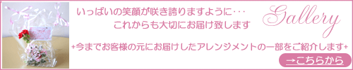 光触媒造花ギャラリー