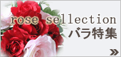 バラ特集