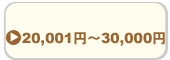 30,000円以下